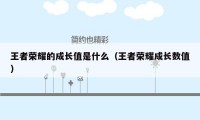 王者荣耀的成长值是什么（王者荣耀成长数值）