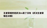 王者荣耀世冠武汉es赢了没有(武汉王者荣耀总决赛)