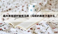 最大黑客组织解密马航(马航的黑匣子是什么)