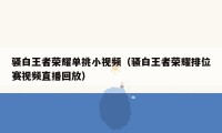 骚白王者荣耀单挑小视频（骚白王者荣耀排位赛视频直播回放）