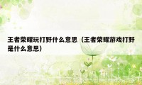 王者荣耀玩打野什么意思（王者荣耀游戏打野是什么意思）