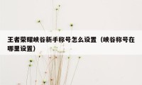 王者荣耀峡谷新手称号怎么设置（峡谷称号在哪里设置）