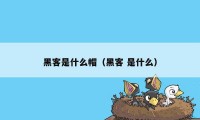 黑客是什么帽（黑客 是什么）