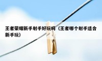 王者荣耀新手射手好玩吗（王者哪个射手适合新手玩）