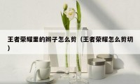 王者荣耀里的辫子怎么剪(王者荣耀怎么剪切)