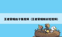 王者荣耀段子集视频(王者荣耀精彩短视频)