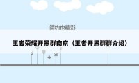 王者荣耀开黑群南京(王者开黑群群介绍)