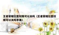 王者荣耀位置权限可以关吗（王者荣耀位置权限可以关吗苹果）