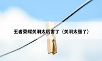 王者荣耀关羽太厉害了（关羽太强了）