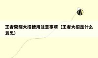 王者荣耀大招使用注意事项(王者大招是什么意思)
