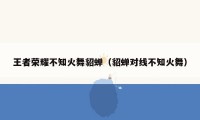 王者荣耀不知火舞貂蝉（貂蝉对线不知火舞）