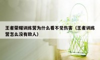 王者荣耀训练营为什么看不见伤害（王者训练营怎么没有敌人）