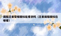 国服王者荣耀图标能看到吗(王者国服图标在哪看)