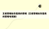 王者荣耀给你是我的荣耀（王者荣耀给你是我的荣耀电视剧）
