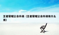 王者荣耀公会升级（王者荣耀公会升级有什么用）