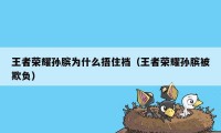 王者荣耀孙膑为什么捂住裆(王者荣耀孙膑被欺负)