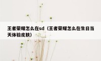 王者荣耀怎么在sd(王者荣耀怎么在生日当天体验皮肤)