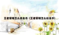 王者荣耀怎么搞金币（王者荣耀怎么给金币）