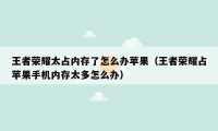 王者荣耀太占内存了怎么办苹果（王者荣耀占苹果手机内存太多怎么办）