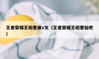 王者荣耀王昭君被x文（王者荣耀王昭君贴吧）