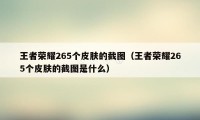 王者荣耀265个皮肤的截图（王者荣耀265个皮肤的截图是什么）