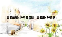 王者荣耀v10所有皮肤（王者用v10皮肤）