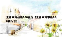 王者荣耀县级100强标（王者荣耀市级100强标志）