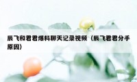 辰飞和君君爆料聊天记录视频（辰飞君君分手原因）