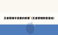 王者荣耀手游里的刺客（王者荣耀刺客是啥）