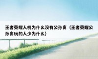 王者荣耀人机为什么没有公孙离（王者荣耀公孙离玩的人少为什么）