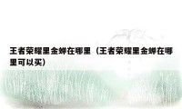 王者荣耀里金蝉在哪里（王者荣耀里金蝉在哪里可以买）