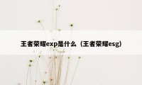 王者荣耀exp是什么(王者荣耀esg)