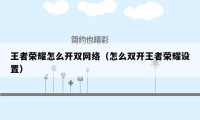王者荣耀怎么开双网络（怎么双开王者荣耀设置）