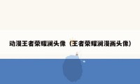 动漫王者荣耀澜头像（王者荣耀澜漫画头像）