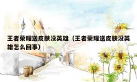 王者荣耀送皮肤没英雄（王者荣耀送皮肤没英雄怎么回事）