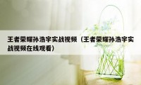 王者荣耀孙浩宇实战视频（王者荣耀孙浩宇实战视频在线观看）