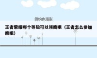 王者荣耀哪个等级可以领鹰眼（王者怎么参加鹰眼）