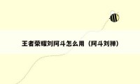 王者荣耀刘阿斗怎么用(阿斗刘禅)