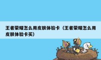 王者荣耀怎么用皮肤体验卡（王者荣耀怎么用皮肤体验卡买）