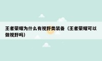王者荣耀为什么有视野类装备（王者荣耀可以做视野吗）