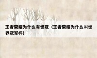 王者荣耀为什么有世冠(王者荣耀为什么叫世界冠军杯)