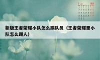 新版王者荣耀小队怎么踢队员（王者荣耀里小队怎么踢人）