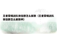 王者荣耀战队微信群怎么解散(王者荣耀战队微信群怎么解散啊)
