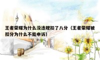 王者荣耀为什么没违规扣了八分(王者荣耀被扣分为什么不能申诉)