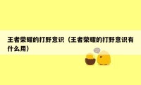 王者荣耀的打野意识(王者荣耀的打野意识有什么用)