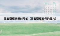 王者荣耀快速封号的(王者荣耀封号的图片)