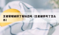 王者荣耀被挤了有标志吗（王者被挤号了怎么办）