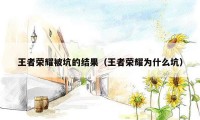 王者荣耀被坑的结果（王者荣耀为什么坑）