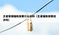 王者荣耀辅助需要什么材料（王者辅助需要经济吗）