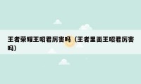 王者荣耀王昭君厉害吗（王者里面王昭君厉害吗）